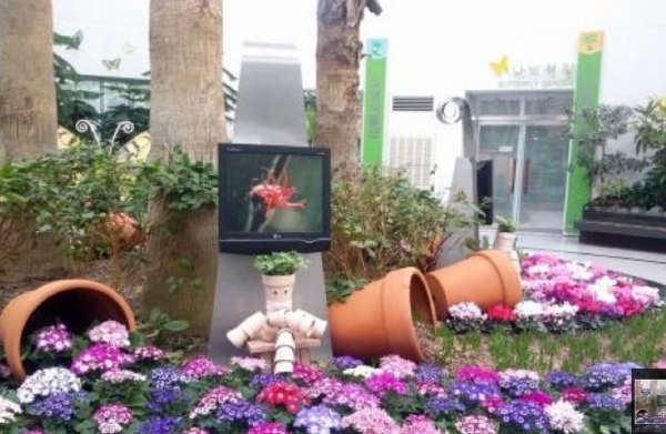 부천식물원 - 봄꽃 전시회