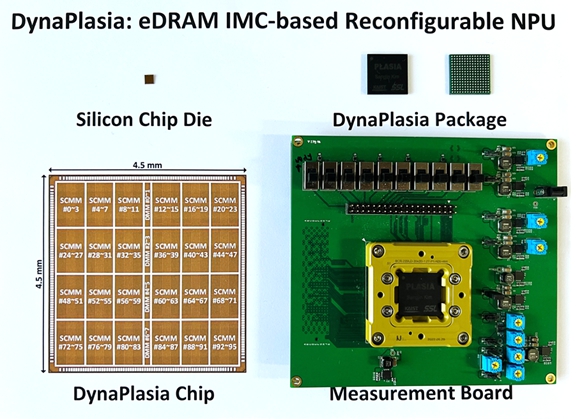 DynaPlasia 칩, 패키지, 보드 사진