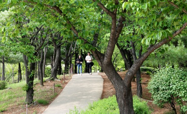 산책로가 잘 조성된 상동호수공원. 시민들이 여유롭게 산책을 즐기고 있다